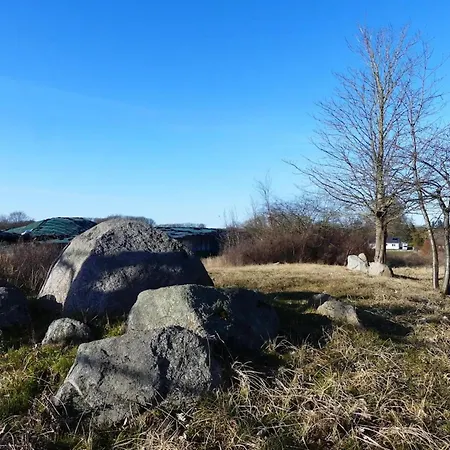 Blaues Haus, 푸트버스